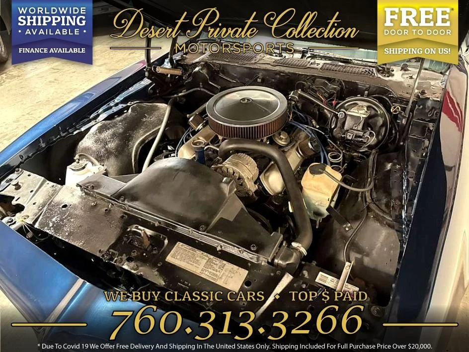 1979 Pontiac Firebird 2nd Gen - Image 19 of 21