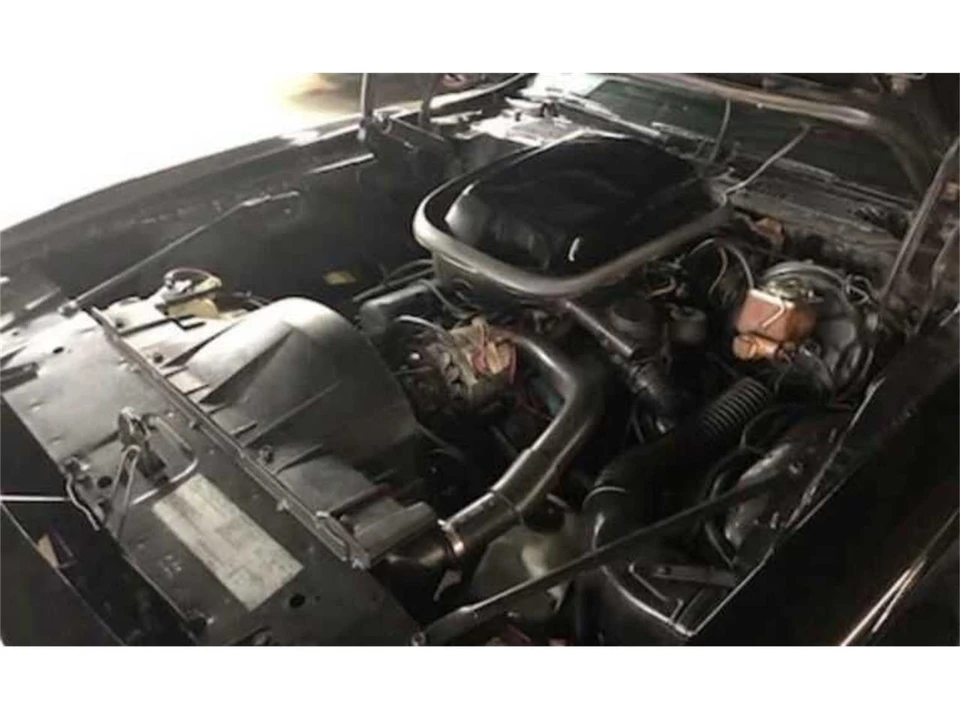 1979 Pontiac Firebird 2nd Gen - Image 10 of 10