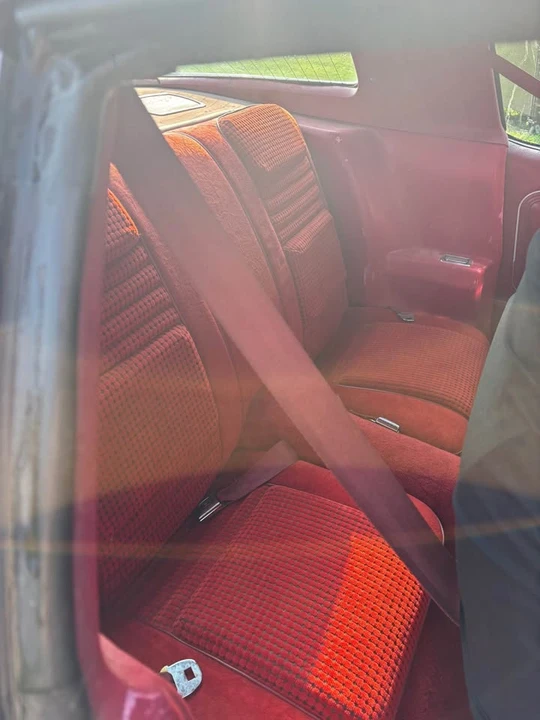 1979 Pontiac Firebird 2nd Gen - Image 10 of 10