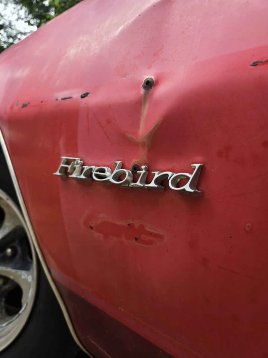 1979 Pontiac Firebird 2nd Gen - Image 5 of 19
