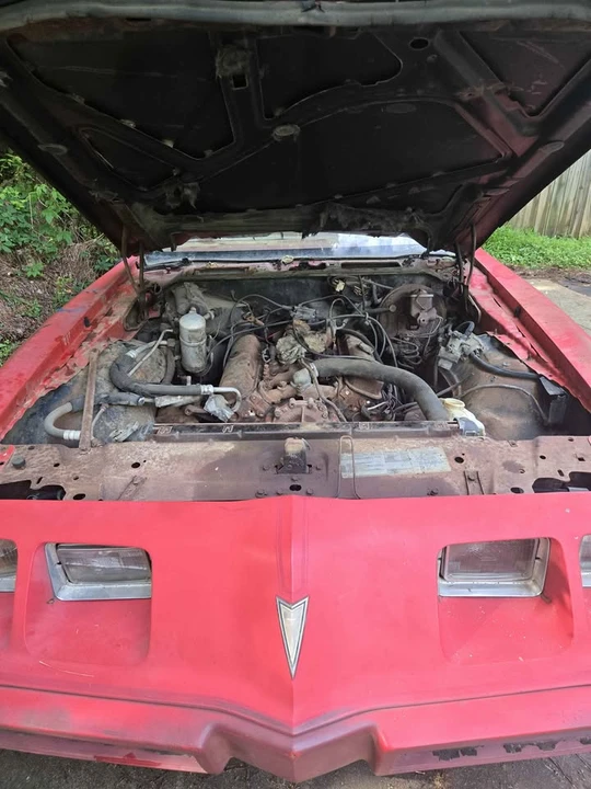 1979 Pontiac Firebird 2nd Gen - Image 2 of 19
