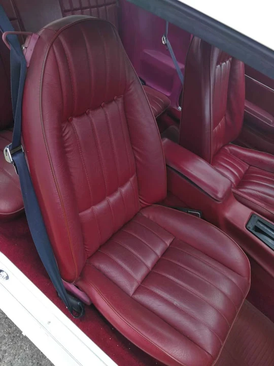 1979 Pontiac Firebird 2nd Gen - Image 6 of 20