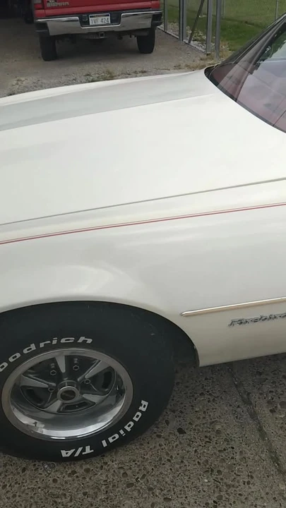 1979 Pontiac Firebird 2nd Gen - Image 20 of 20