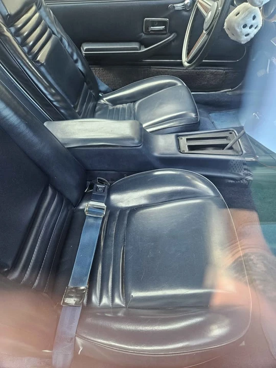 1979 Pontiac Firebird 2nd Gen - Image 3 of 4