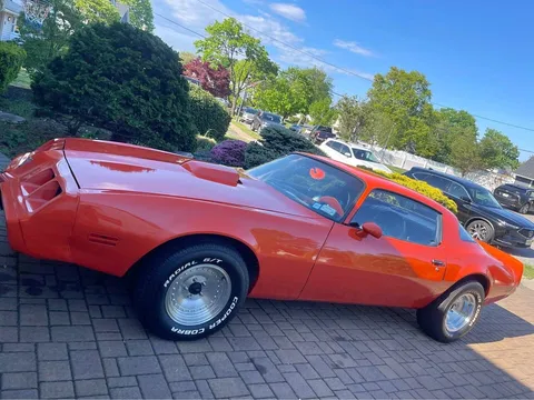 1979 Pontiac Firebird Coupe 2D