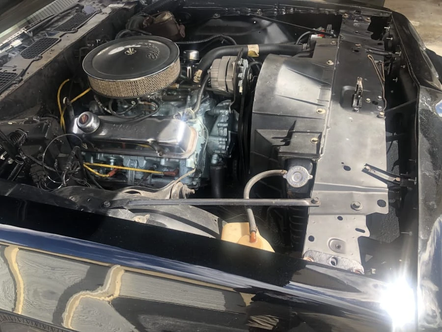 1979 Pontiac Firebird 2nd Gen - Image 24 of 26