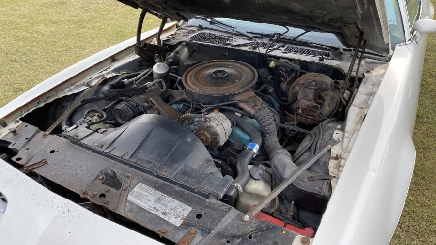 1979 Pontiac Firebird 2nd Gen - Image 3 of 4