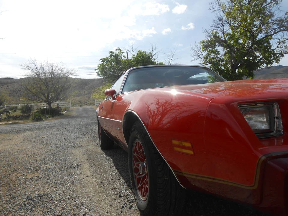 1979 Pontiac Firebird 2nd Gen - Image 7 of 31