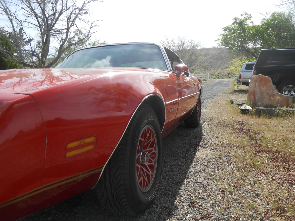 1979 Pontiac Firebird 2nd Gen - Image 9 of 31