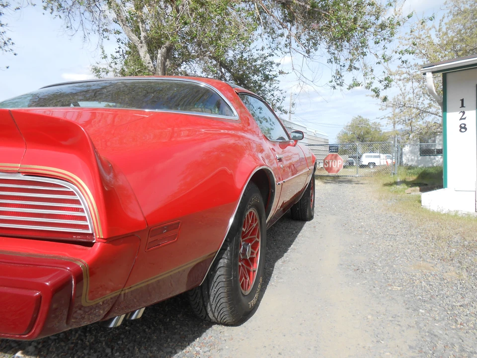 1979 Pontiac Firebird 2nd Gen - Image 11 of 31