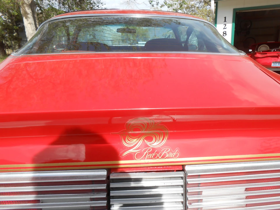 1979 Pontiac Firebird 2nd Gen - Image 13 of 31