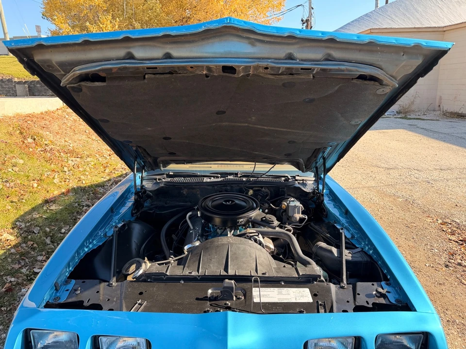 1979 Pontiac Firebird Formula 2nd Gen - Image 20 of 31