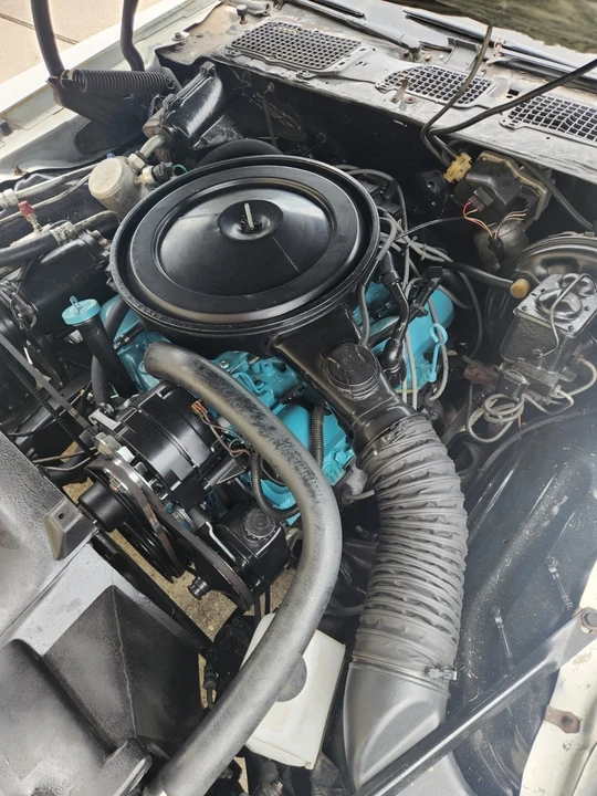 1979 Pontiac Firebird 2nd Gen - Image 19 of 21