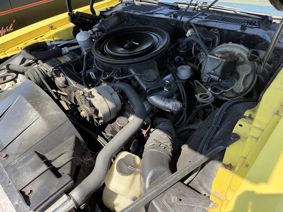 1979 Pontiac Firebird 2nd Gen - Image 14 of 16