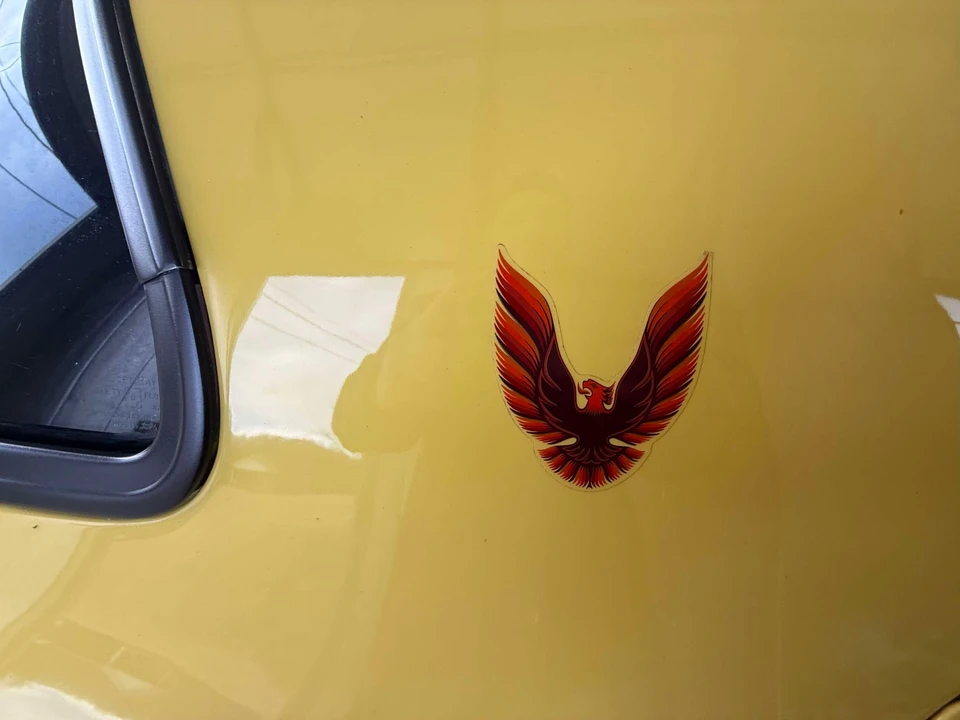 1979 Pontiac Firebird 2nd Gen - Image 31 of 31