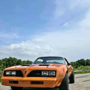1979 Pontiac Firebird Formula Coupe 2D