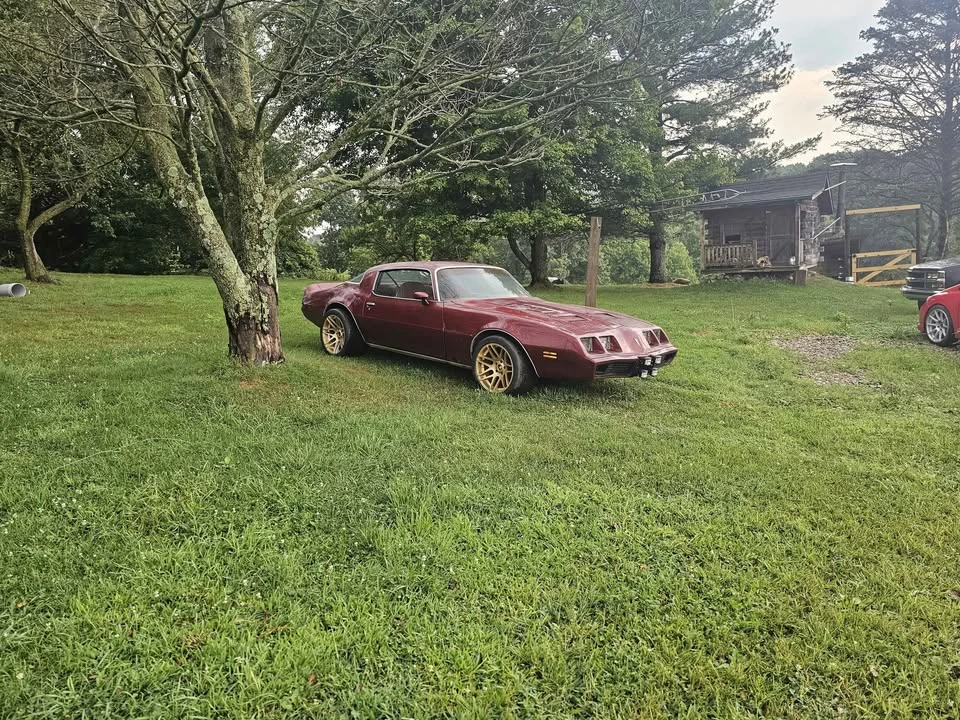 1979 Pontiac Firebird Formula 2nd Gen - Image 3 of 12