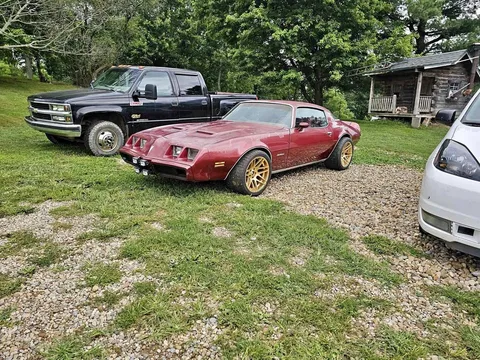 1979 Pontiac Firebird Formula Coupe 2D
