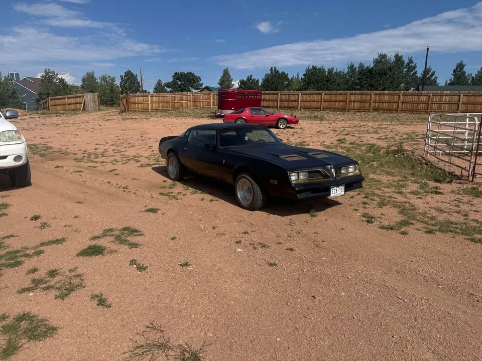 1979 Pontiac Firebird Formula 2nd Gen - Image 3 of 6