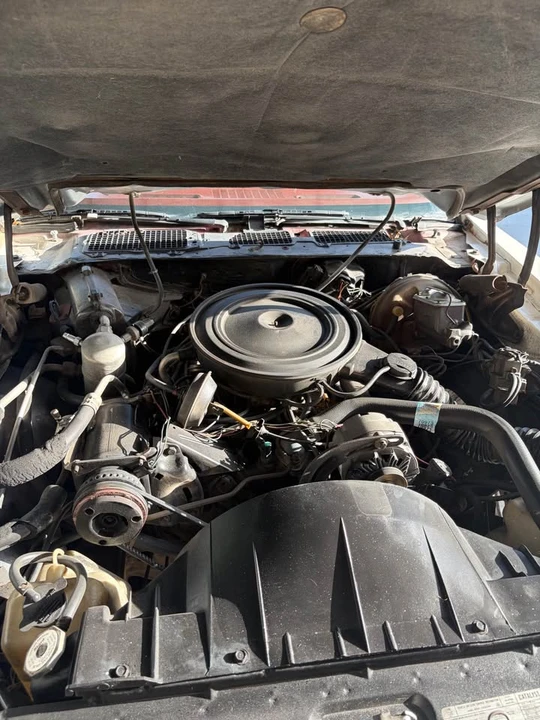 1979 Pontiac Firebird Formula 2nd Gen - Image 14 of 16