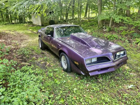 1979 Pontiac Firebird Formula Coupe 2D