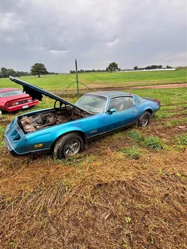 1979 Pontiac Firebird Formula Coupe 2D