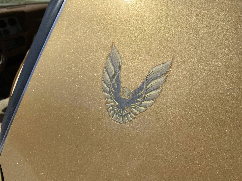 1979 Pontiac Firebird 2nd Gen - Image 19 of 31