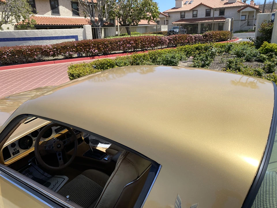 1979 Pontiac Firebird 2nd Gen - Image 18 of 31
