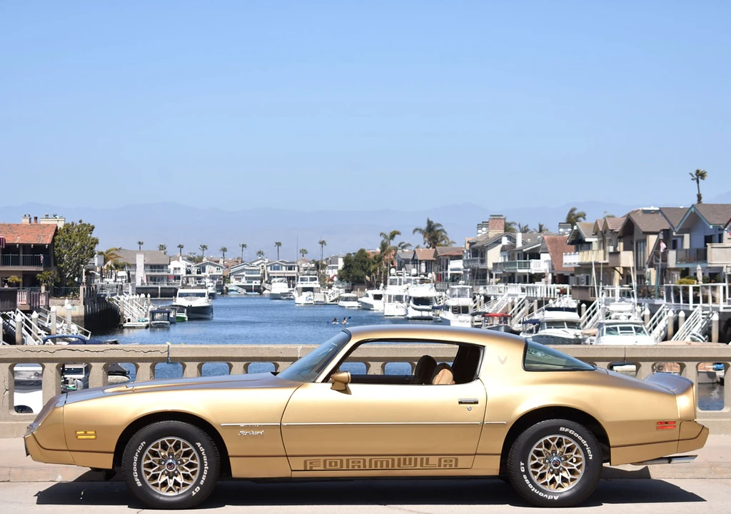 1979 Pontiac Firebird 2nd Gen - Image 9 of 31