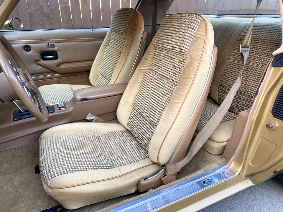1979 Pontiac Firebird 2nd Gen - Image 31 of 31