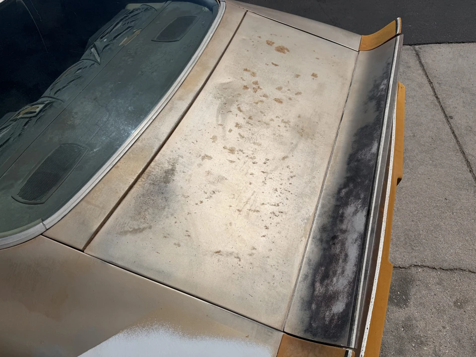 1979 Pontiac Firebird 2nd Gen - Image 31 of 31