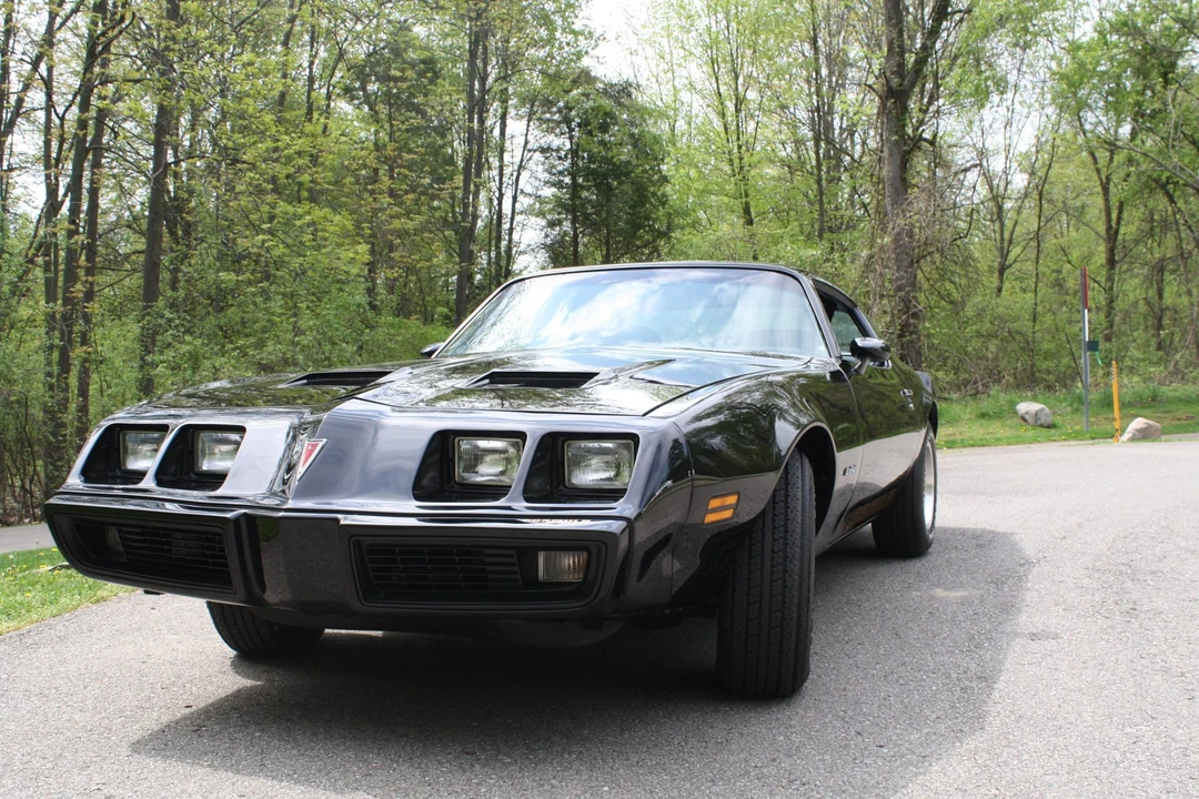 1979 Pontiac Firebird 2nd Gen - Image 16 of 31