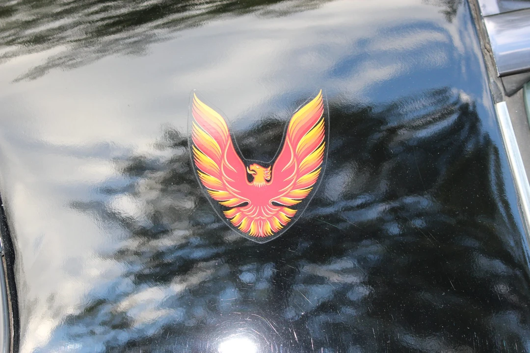 1979 Pontiac Firebird 2nd Gen - Image 21 of 31