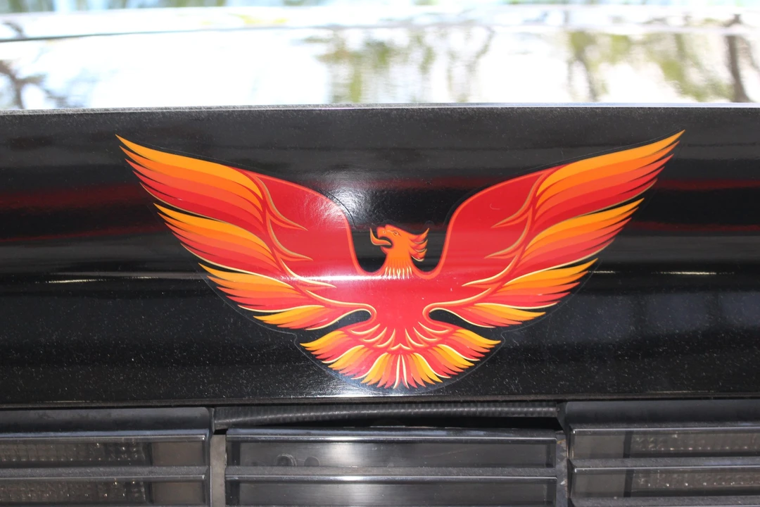1979 Pontiac Firebird 2nd Gen - Image 23 of 31