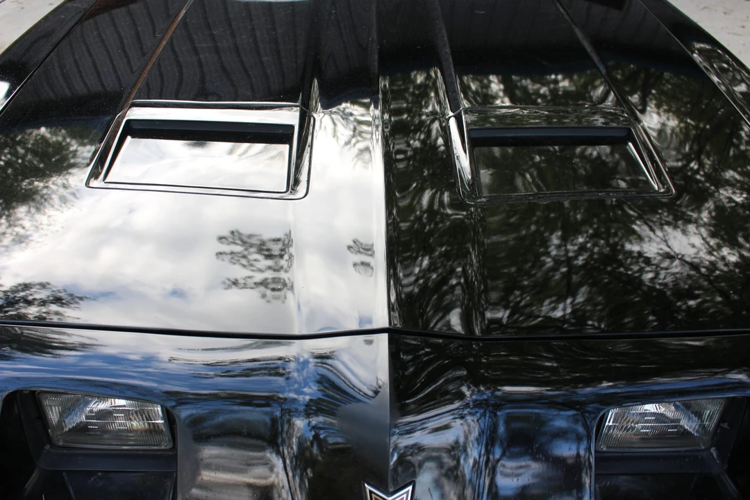 1979 Pontiac Firebird 2nd Gen - Image 10 of 31