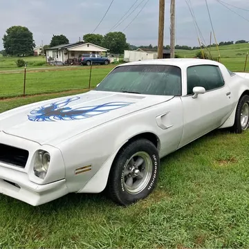 1979 Pontiac Firebird