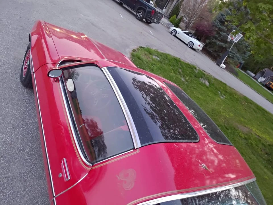 1979 Pontiac Firebird 2nd Gen - Image 3 of 3