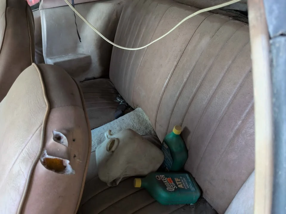 1979 Pontiac Firebird 2nd Gen - Image 6 of 8