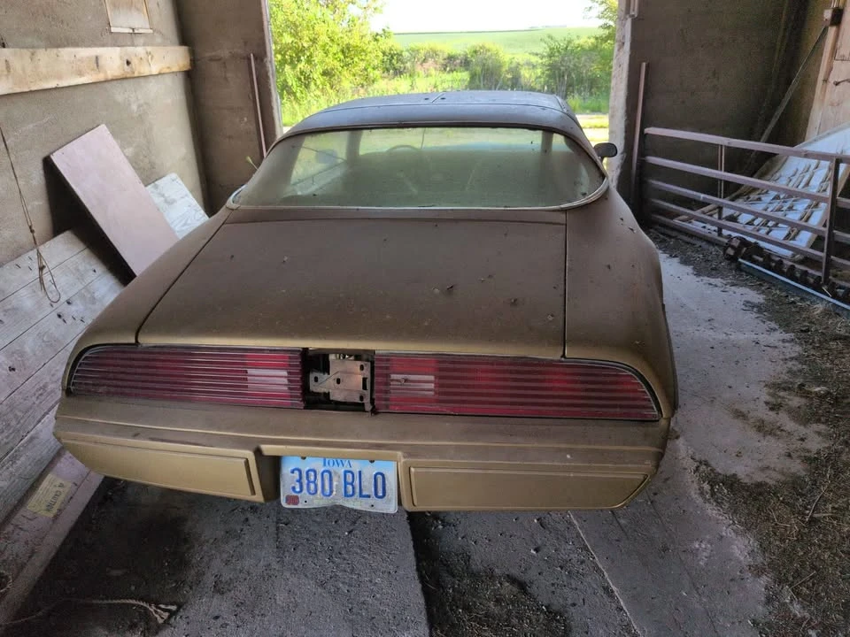 1979 Pontiac Firebird 2nd Gen - Image 4 of 8