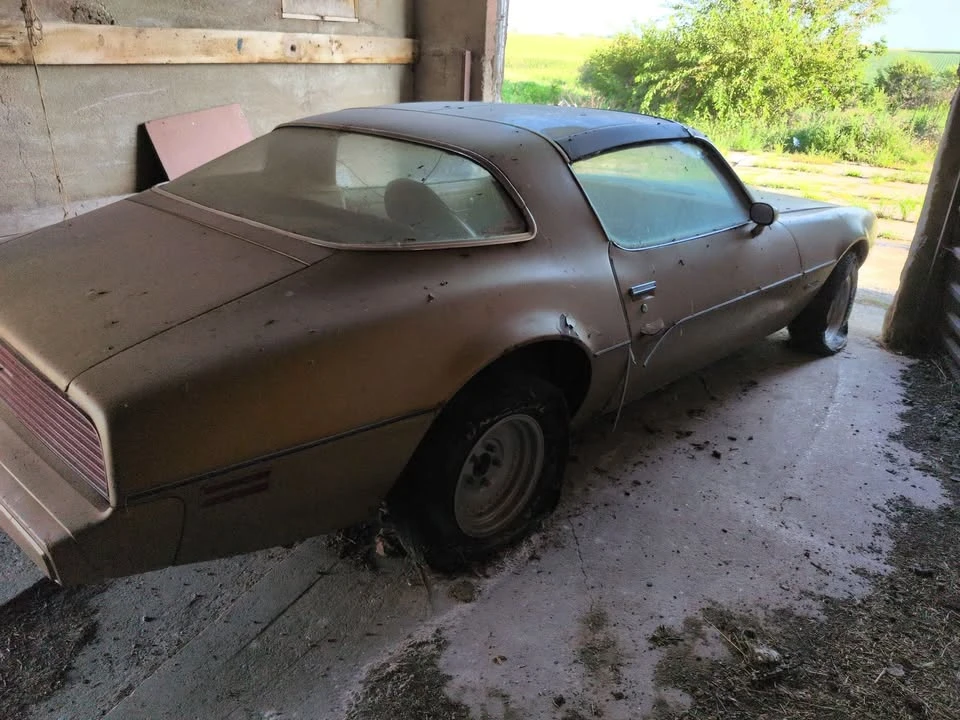 1979 Pontiac Firebird 2nd Gen - Image 3 of 8