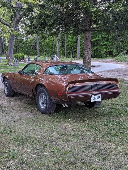 1979 Pontiac Firebird 2nd Gen - Image 10 of 12
