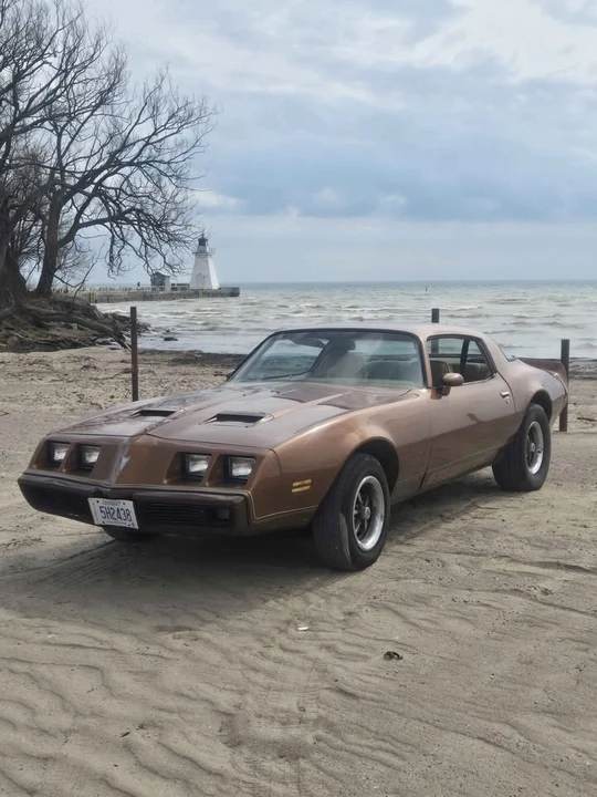 1979 Pontiac Firebird 2nd Gen - Image 2 of 12