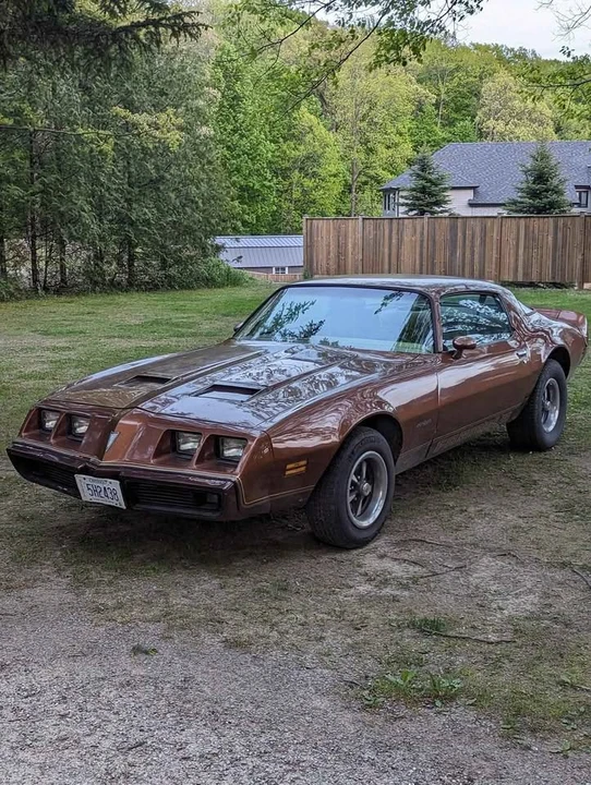 1979 Pontiac Firebird 2nd Gen - Image 11 of 12