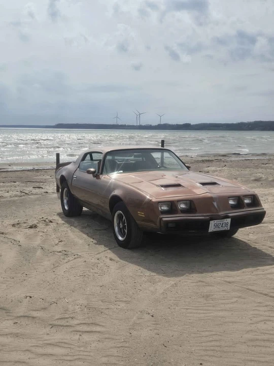 1979 Pontiac Firebird 2nd Gen - Image 3 of 12