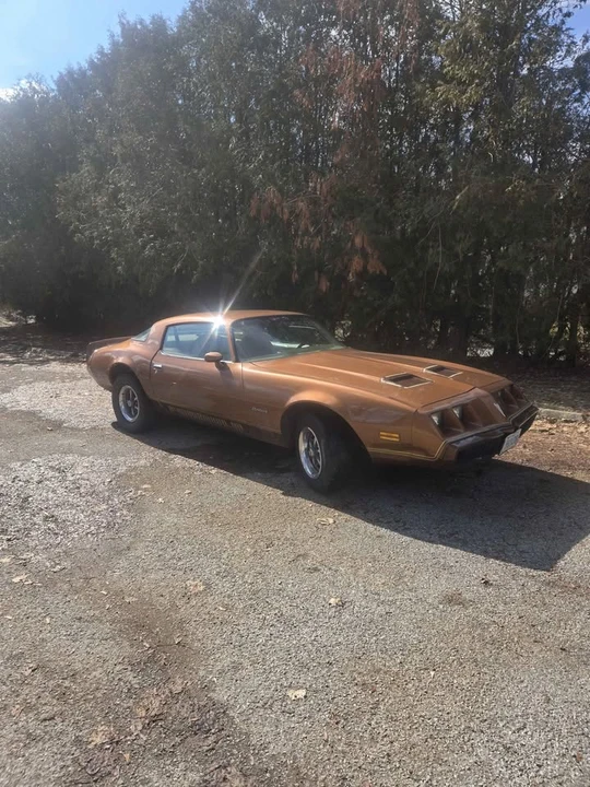 1979 Pontiac Firebird 2nd Gen - Image 5 of 12