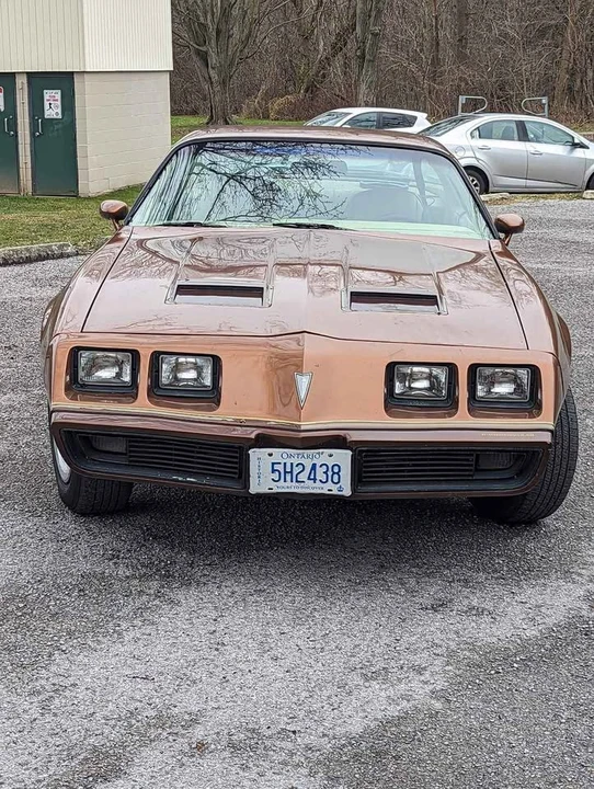 1979 Pontiac Firebird 2nd Gen - Image 9 of 12