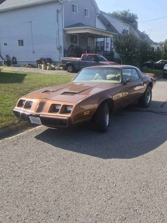 1979 Pontiac Firebird 2nd Gen - Image 6 of 12