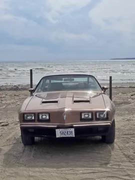 1979 Pontiac Firebird Formula