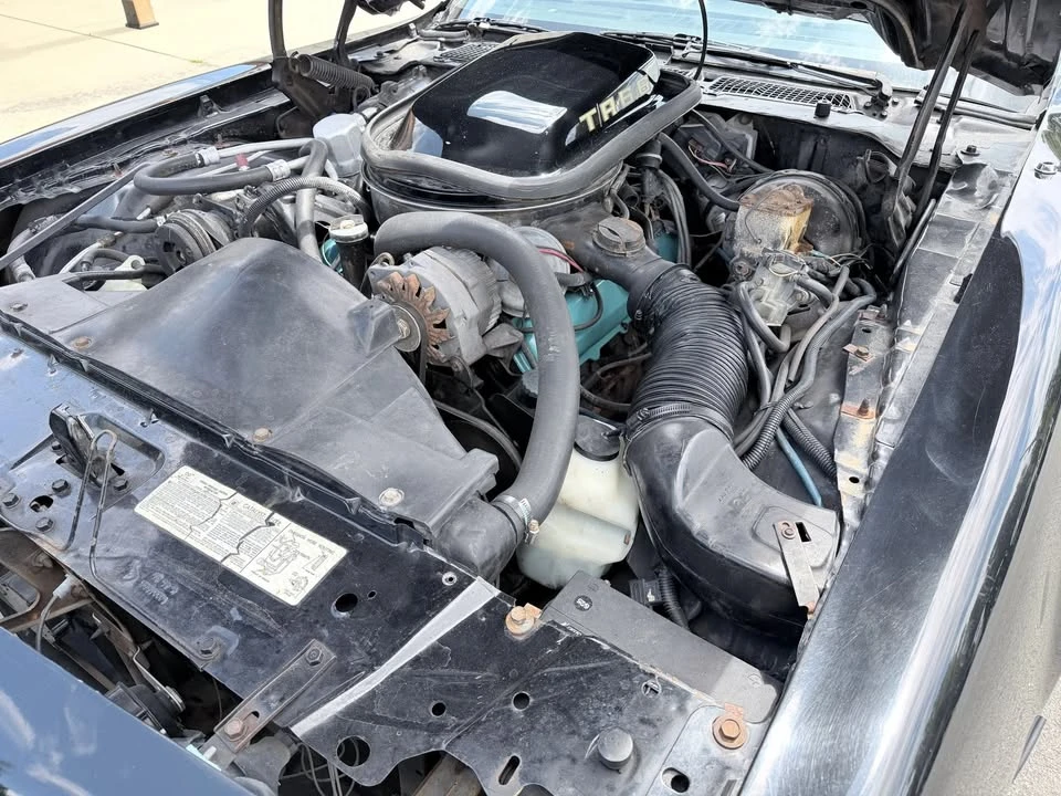 1979 Pontiac Firebird 2nd Gen - Image 18 of 19