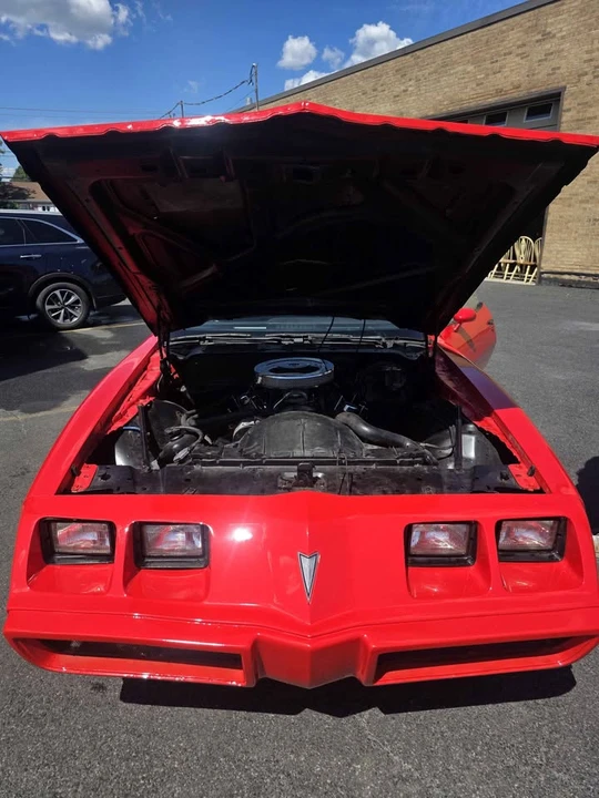 1979 Pontiac Firebird 2nd Gen - Image 20 of 20
